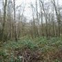 Arrandene Open Space