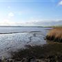 Rainham Marshes - Thames Side