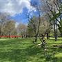 Down Lane Park