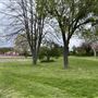 Willersley Park