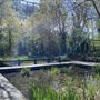 Camley Street Natural Park