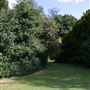 Stephens House & Gardens