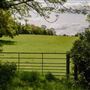 Foxfield Farm