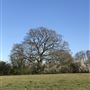 Greenbanks Farm