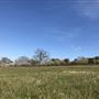 Greenbanks Farm