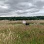 Runaway Farm