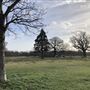 Wanstead Park