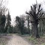 Wanstead Park