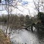 Wanstead Park