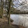 Wanstead Park