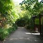London Zoo