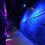 SEA LIFE London Aquarium
