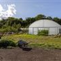 Soul Farm