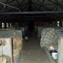 Woodlands Farm