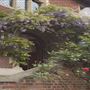 Cambridge Tutors College