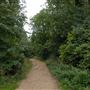 Abney Park Cemetery