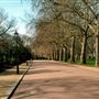 Battersea Park