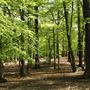 Grovelands Park