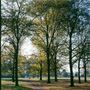 Hyde Park
