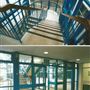 Charles Darwin School
