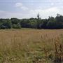 Ruislip Lido