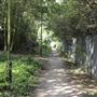 Stave Hill Ecological Park