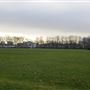 Barking Park