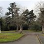 Barking Park