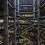 Lloyd's of London