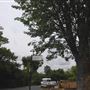 Linthorpe Road
