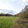 Wimbledon Common