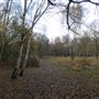 Wimbledon Common