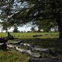 Brockwell Park