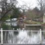 Carshalton Park