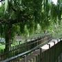 London Zoo
