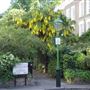 Gordon Place