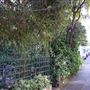 Gordon Place