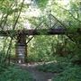 Sydenham Hill Wood