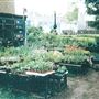 Calthorpe Project