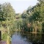 Camley Street Natural Park