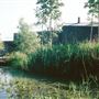 Camley Street Natural Park