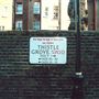 Thistle Grove