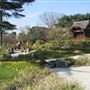 Royal Botanic Gardens, Kew