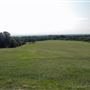 Oxleas Woods, Jack Wood and Castlewood