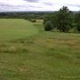 Oxleas Woods, Jack Wood and Castlewood