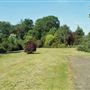 Oxleas Woods, Jack Wood and Castlewood