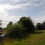 Hampstead Heath - West of Spaniard's Road