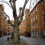 Camlet Street
