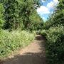 Parkland Walk
