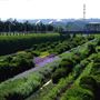 Thames Barrier Park